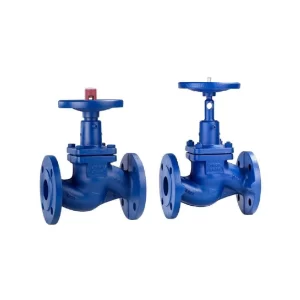 GLOBE VALVE BELLOW SEAT