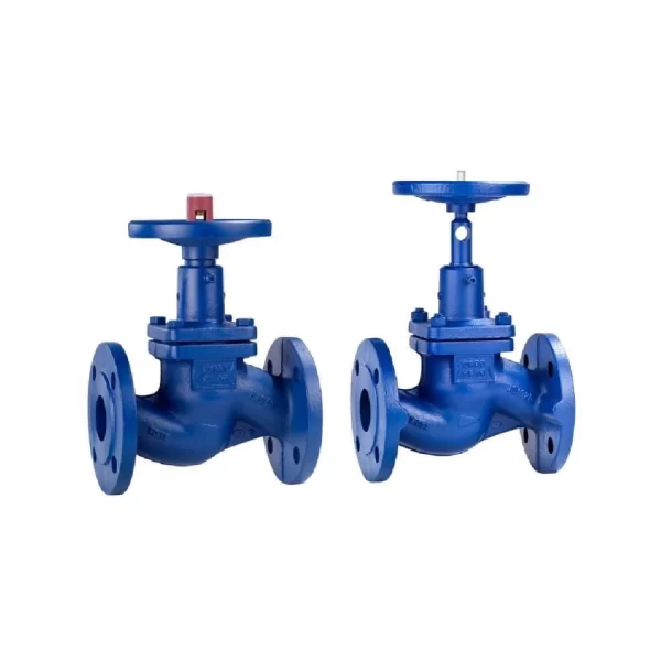 GLOBE VALVE BELLOW SEAT