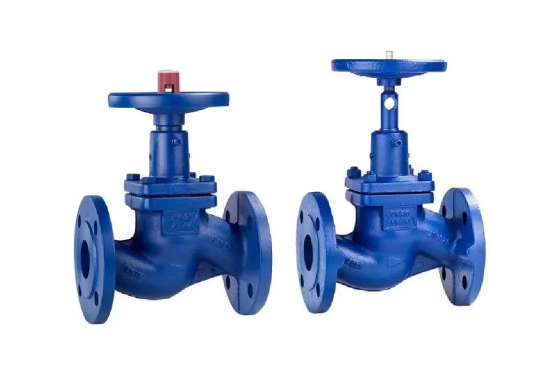 GLOBE VALVE BELLOW SEAT