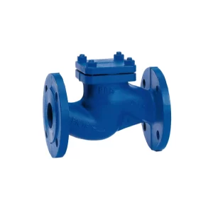 NON-RETURN VALVE BOA-R